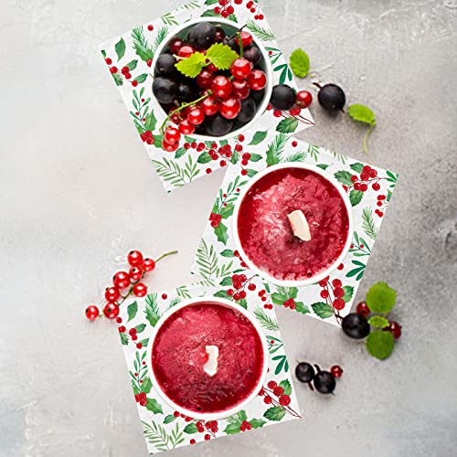 Christmas Party Supplies, Christmas Seasonal Holly Paper Beverage Napkins, Paper Cocktail Napkins For Merry Christmas Party And Holiday Party Decorations #TOP5