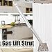 10 Piece 100N 22.5lb Gas Struts Shock, with Mounting Brackets Iron Head Gas Spring Door Lifter Hinge for Kitchen Furniture Cabinet Tatami Downturn Components(10in)