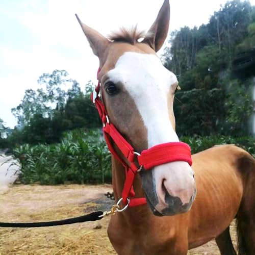 Double Braided Nylon Horse Lead Rope,Horse Lead Line, with a Snap Hook (1/2\" X 15ft)