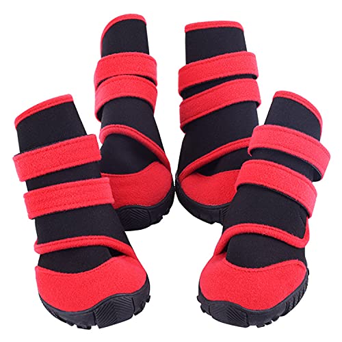 List of Ten Best Boots For Dogs [Experts 2023 Reviews]