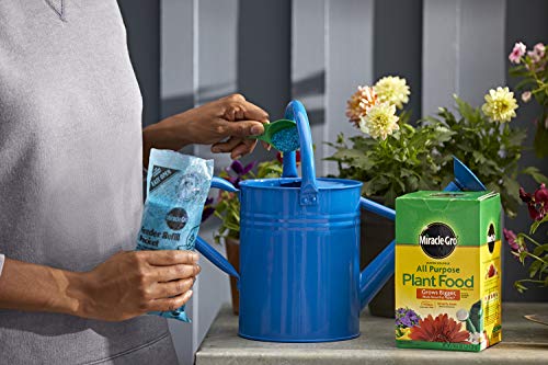 Image of Miracle-Gro All Purpose Plant Food Plant Fertilizer (6 Pack), 3 lb