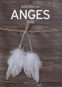 Book's Cover of Agenda des anges 2016
