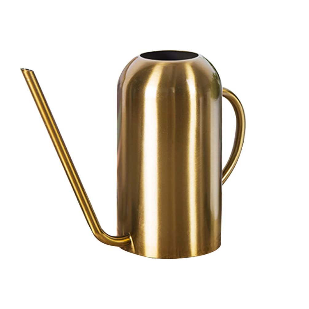 1stk Gießkanne Aus Edelstahl Garten Gießkanne Pflanzgefäße Für Zimmerpflanzen Klein Ausguss Saftiger Gießtopf Sprühflasche Kind Rostfreier Stahl Pflanzer Draussen