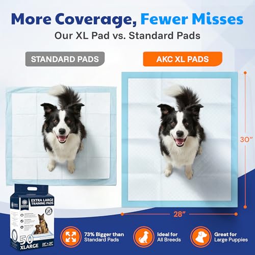 Image of American Kennel Club Puppy Training Pads with Ultra Absorbent Quick Dry Gel - 28 x 30 Pee Pads for Dogs - 50 Count , XL(Unscented)