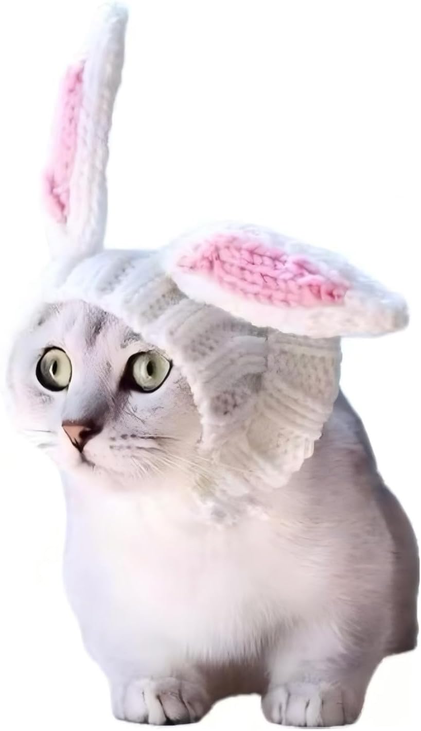 Disfraz de Conejo de Pascua para Perros - Gorro de Punto con Orejas
