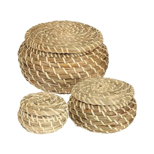 Fenteer Cesta de Mimbre con Tapa, 3 Unidades, para Guardar Llaves Y Estantes de Cocina.
