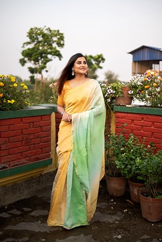 Apaapi threads of glory green chanderi silk saree in pure silk – image 2