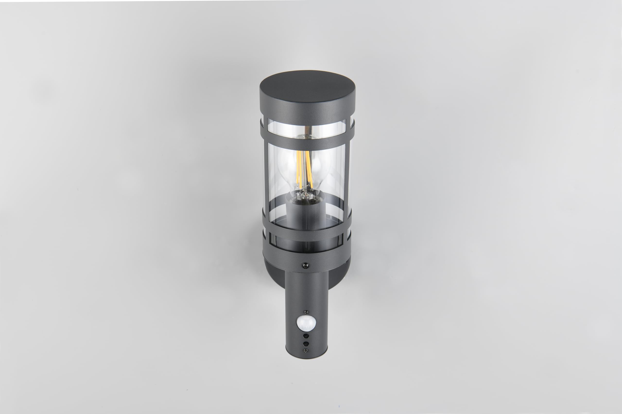 Reality Leuchten Paloma R21719142 - Lampada da parete per esterni, in metallo antracite, paralume in plastica trasparente, 1 x E27, sensore di movimento