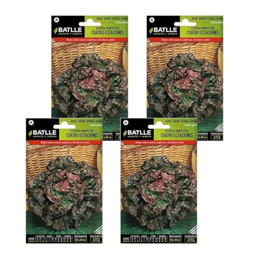Semillas de lechuga mantecosa cuatro estaciones Semillas Batlle PACK (4)
