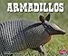 Armadillos (North American Animals)
