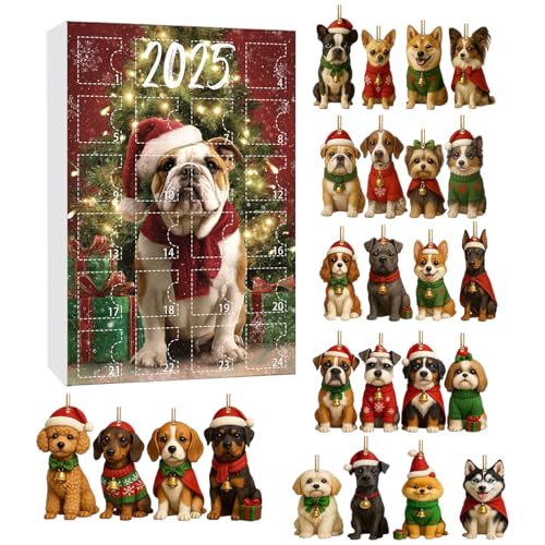 Qoukonao NX}XJ_[ - 2DANhbOy_g - 24Ԃ̌̃I[ig xAAhAAǁAp[eB[p