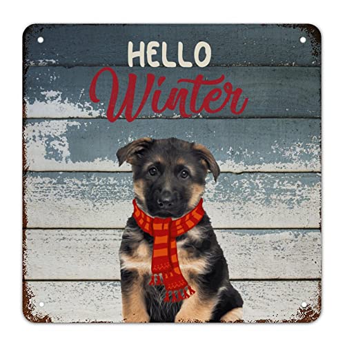Plaque de Noël Hello Winter en aluminium le cadeau idéal pour sublimer un salon rustique