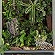 KeaJuidy Schlangen Kletterspielzeug Schlangen Spielringe Schlangenkletter Zubehör Terrarium Zubehör für Kleine und mittelgroße Reptilien
