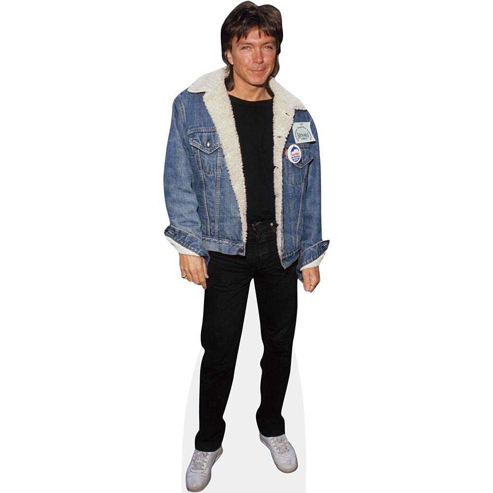 David Cassidy (Jean Jacket) Mini Size Cutout