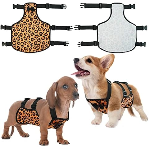 Traje protector para perros después de la cirugía Cover