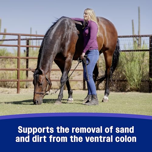 Farnam SandClear Crumbles, Psyllium Digestive Supplement, 9 Day Supply | Apple Flavor,Psyllium Digestive Health Supplement for Horses supports the removal of sand and dirt from the ventral colon - Image 5