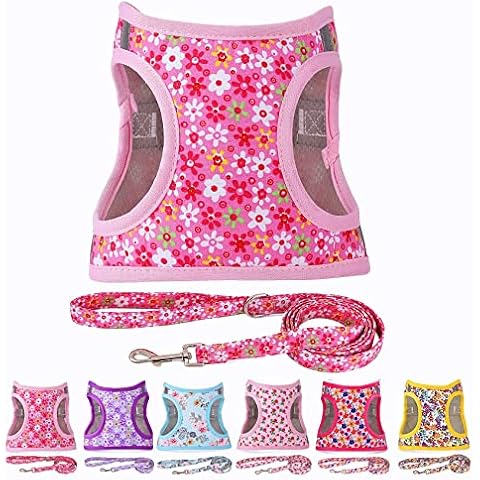 Moonpet Step in Air Dog Harness Leash Set- All Weather Reflective No-Pull Floral Pattern Padded Mesh Vest Harness for Cats Puppy Extra-Small Small Medium Large Dogs - Pink Flower XXS Cover