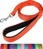 Durabilidad - Hecho de cinta de nylon flexible de 2 mm/2.5mm de espesor con hilo reflectante y gancho giratorio a prueba de herrumbre que es lo suficientemente fuerte como para perros grandes