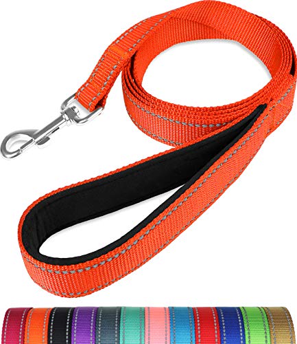 Taglory Nylon Dog Leash 6ft, Soft Padded Handle Pet Reflective Leashes for Medium Large Dogs Walking & Training, Orange