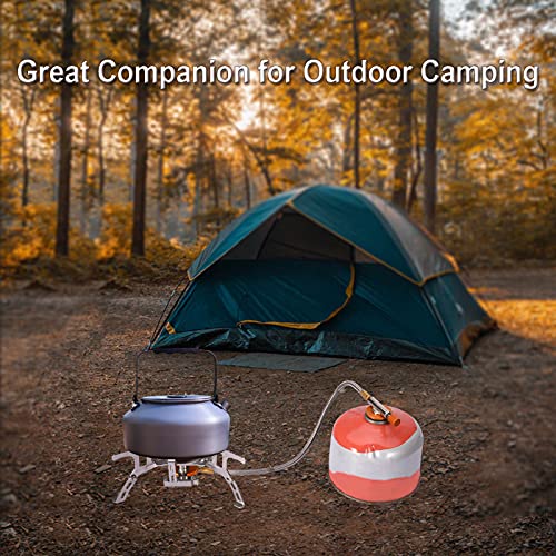 Sagafly Portable Camping Gas Stove with 1LB Propane Tank Adapter
