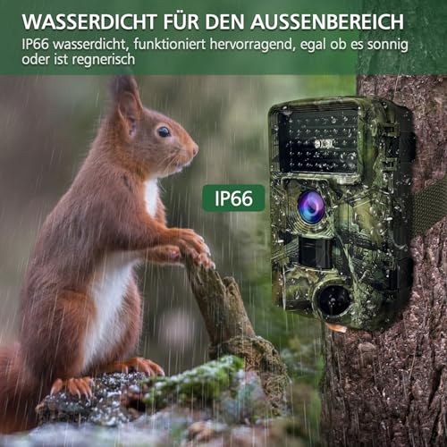 HAZA Wildkamera,2.7K Wildtierkamera,58MP Full HD wildkamera mit bewegungsmelder nachtsicht,beobachtungsmonitore mit 32G SD Karte,0,1s Auslösezeit,IP66 Wasserdicht,Timer,Zeitraffer,Tierkamera (2.7K)