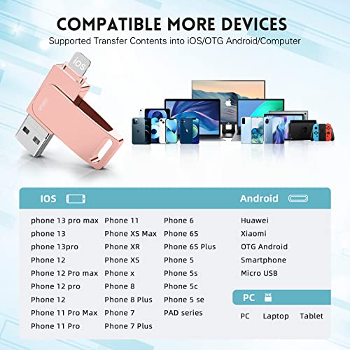 image for Querido iPhone Flash Drive,256GB Photo Stick,4 in1 USB Flash Drive, US