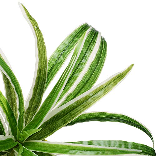 Aquarium Fish Tank Lifelike Underwater Plastic Plant Aquatic Water Grass Decor 12in (AGXY01) - Thumbnail 3