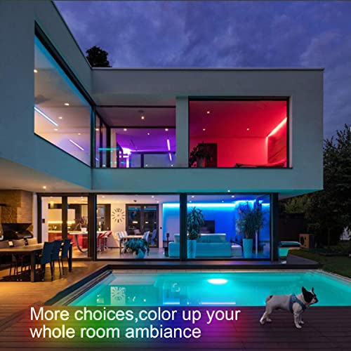 Led Strip Light 65.6Ft, Led Lights For Bedroom, Music Sync Color Changing Light Smart Light Strip Rgb Tape Light Strip For Tv, Bedroom, Home Decoration, Rope Lights #TOP4
