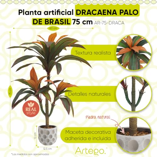 La Mejor Selección de Palo de brasil artificial los 7 más buscados. 39 Imagen adicional