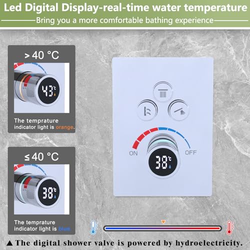 Ensemble de douche 2 fonctions avec double pluie 25,4 cm et 15,2 cm et écran LED