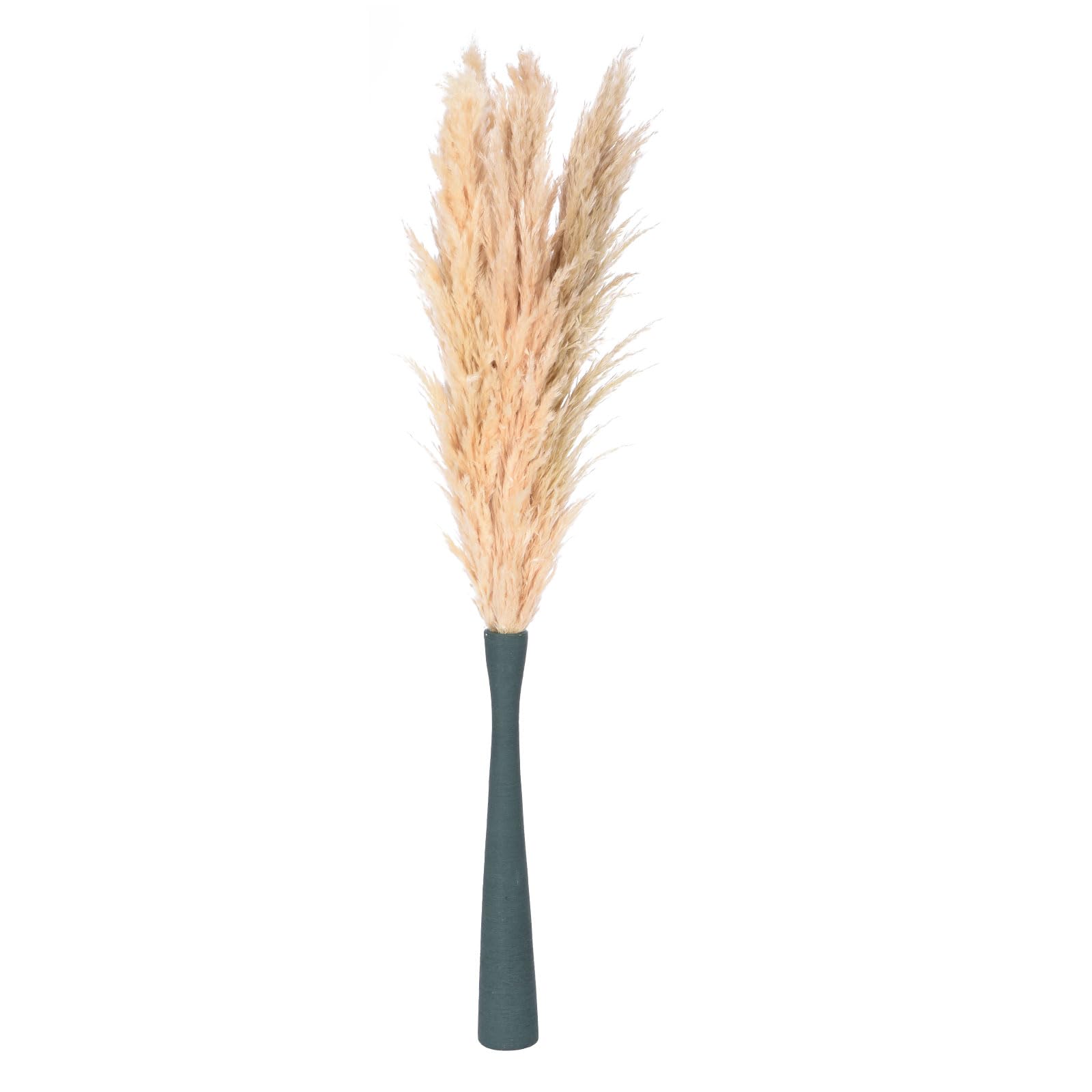 QUARKZMAN 10 Tiges ornementation Herbe De La Pampa Grandes, 46 Pouces Grandes Herbes De La Pampa Artificielles Moelleuses Fleurs Séchées pour ornementation Maison Ferme Mariage, Beige