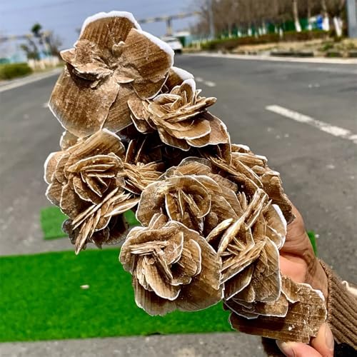 Rosa del desierto y selenita para decorar una oficina zen o dormitorio 5