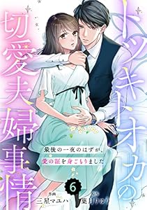 comic Berry’sトツキトオカの切愛夫婦事情～最後の一夜のはずが、愛の証を身ごもりました～6巻 (Berry's COMICS)