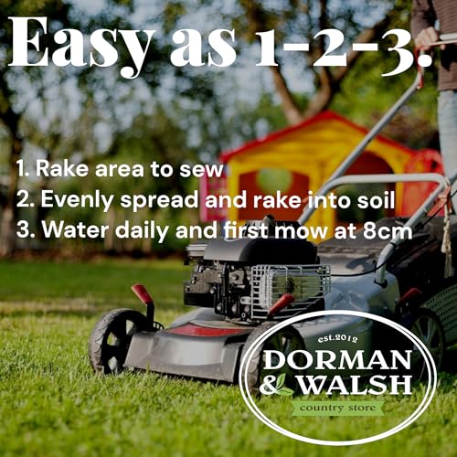 Rapid Seed 1.5 kg Quick Growing Grass Seed, Hard-Wearing and Durable Covering 90m² for Lawns & Patch Repair Dorman and Walsh Premium Green Grass - Image 4