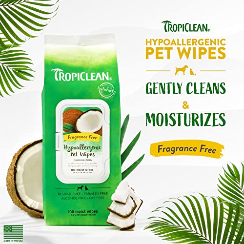 Tropiclean Hypoallergenic Dog Wipes For Paws And Butt | Fragrance Free Dog Grooming Wipes | Safe For The Face | Puppy & Cat Friendly | 100 Count #TOP1