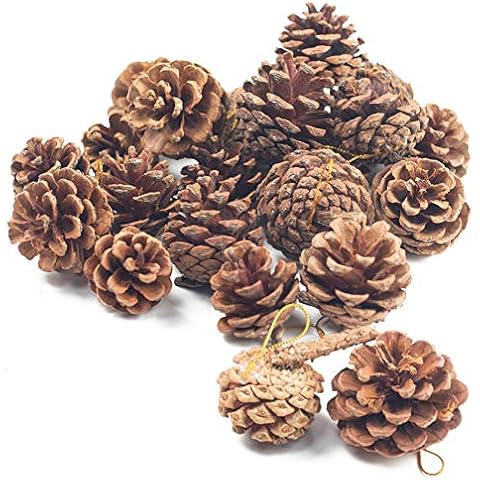 JOHOUSE 18 PCS Natural Pine Cones, Christmas Rustic Pinecones Fall Garland Halloween Thanksgiving Decorations, Christmas Tree Fall Ornaments, Winter Vase Filler Cover
