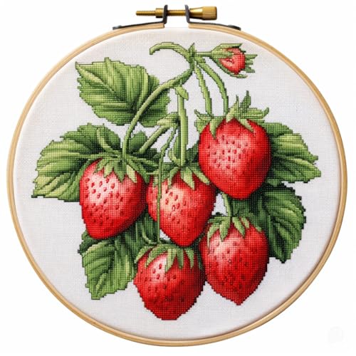 Red Strawberry 11CT Stamped Cross Stitch Kits Easy for Beginners Child with Hoop DIY Needlepoint Counted Embroidery Kits Art Craft Wall Decor 12x12IN(3)