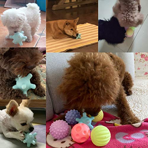 Pet Sound Ball Cani da Compagnia Che Giocano a