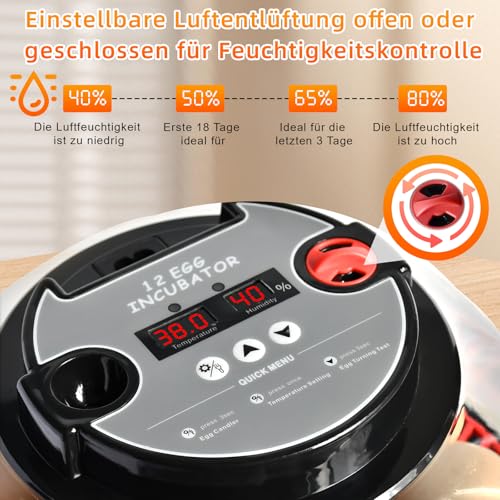 Brutautomat Vollautomatisch Eierinkubator 12 Eier mit Wasserversorgung,Automatischem Eierwender und Temperaturkontrolle Feuchtigkeit Inkubator Brutmaschine für Hühner,Wachtel,Enten