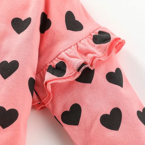 Toddler Girl Long Sleeve T-Shirts Cotton Casual Crewneck Graphic Tops Tees 2-Packs Sets4