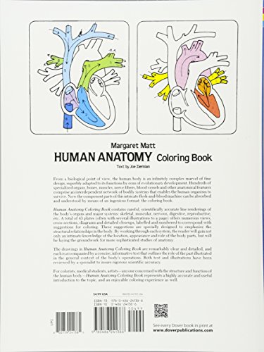 image for Dover Publications Human Anatomy Coloring Book: an Entertaining and In