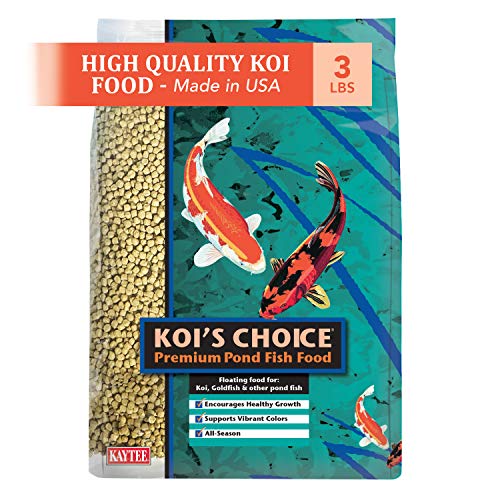 Best Spirulina Powder For Birds