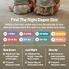 The Honest Company Comfort Dry Disposable Daytime Diapers for Sensitive Skin, Hypoallergenic, Fragrance-Free, Barnyard Babies + Donut Grow Up, Club Box, Size 3 (16-28 lbs), 62 Count