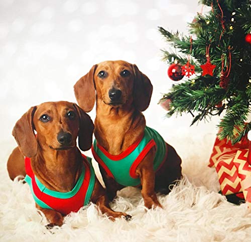 Parisian Pet Funny Christmas Holiday Dog Cat Pet Shirts Tee Tanks - Naughty Or Nice, Santa Outfit, Elf Size, Santa's Helper, Sorry Santa I Ate Your Cookies (Sorry Santa I Ate Your Cookies, Xs) #TOP3