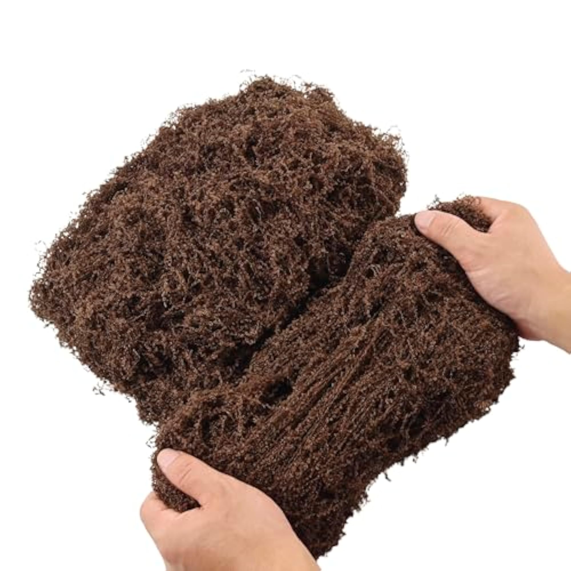 Filamentous Moss for Art Projects and Decor