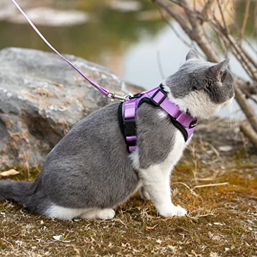 Mr. Peanut's Purrtrek Reflective Cat Harness With Matching Leash (Extra Small, Lilac) #TOP5