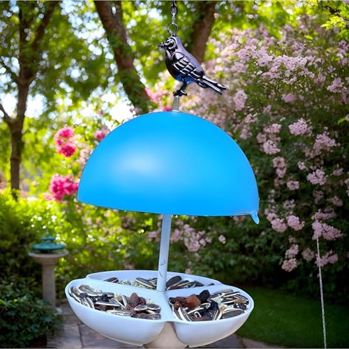 Mangeoire à oiseaux sauvage à dôme imperméable et plateau - 4