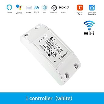DIY WiFi Relay Module,Smart Wall Switch Compatible with Alexa,Google Home,Voice/Remote Control,Timing,10A (1 Pack), 41mm*41mm*20mm, White