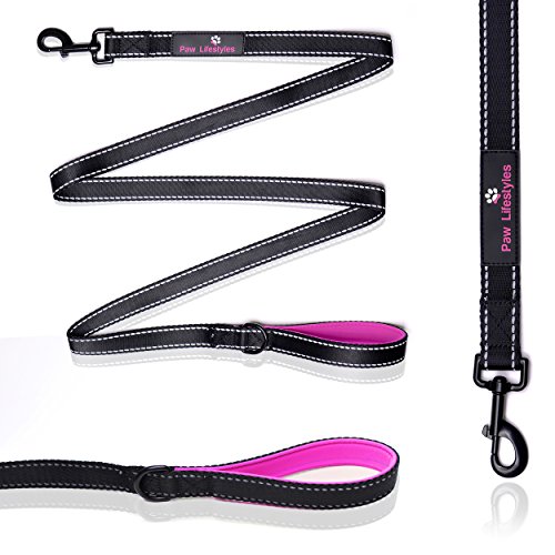 Paw Lifestyles Extra Heavy Duty Dog Leash - 6Ft Long - 3Mm Thick, Soft Padded Handle For Comfort - Perfect Leashes For Medium And Large Dogs #TOP7