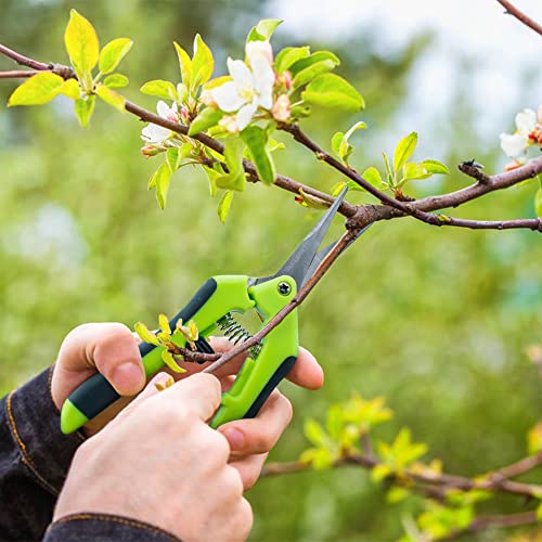 CIOUYAOS 2pcs Klein Gartenschere, Astschere Bonsai Schere Baumschere Ernteschere, Pruning Shears Garden Scissors für Bonsai Pflanzen Blumen Ernte Obst Gemüse